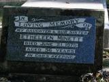 image of grave number 880022